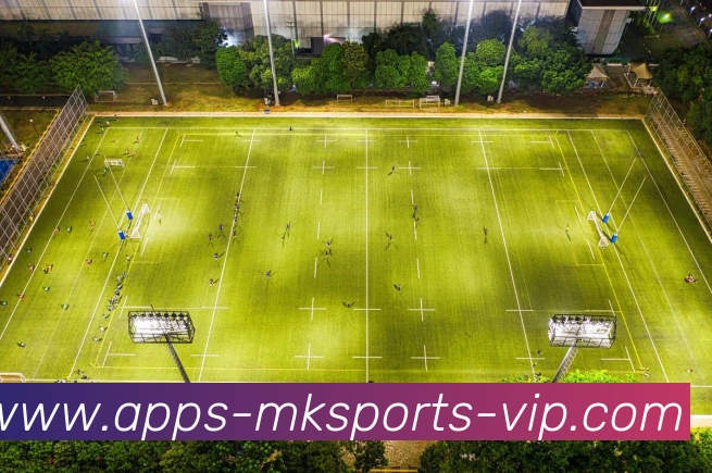 App Interface Preview